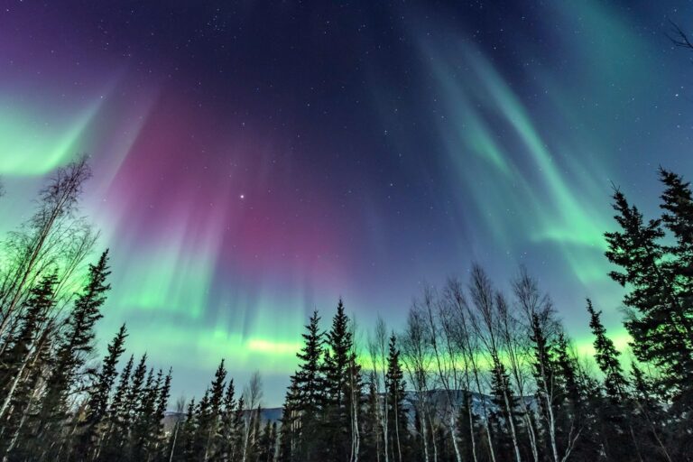 Northern Lights Story Hour