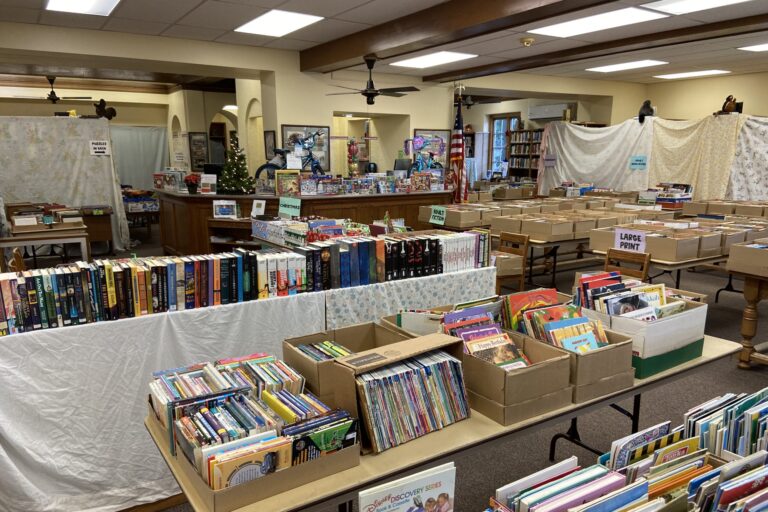 73rd Annual Book Sale!