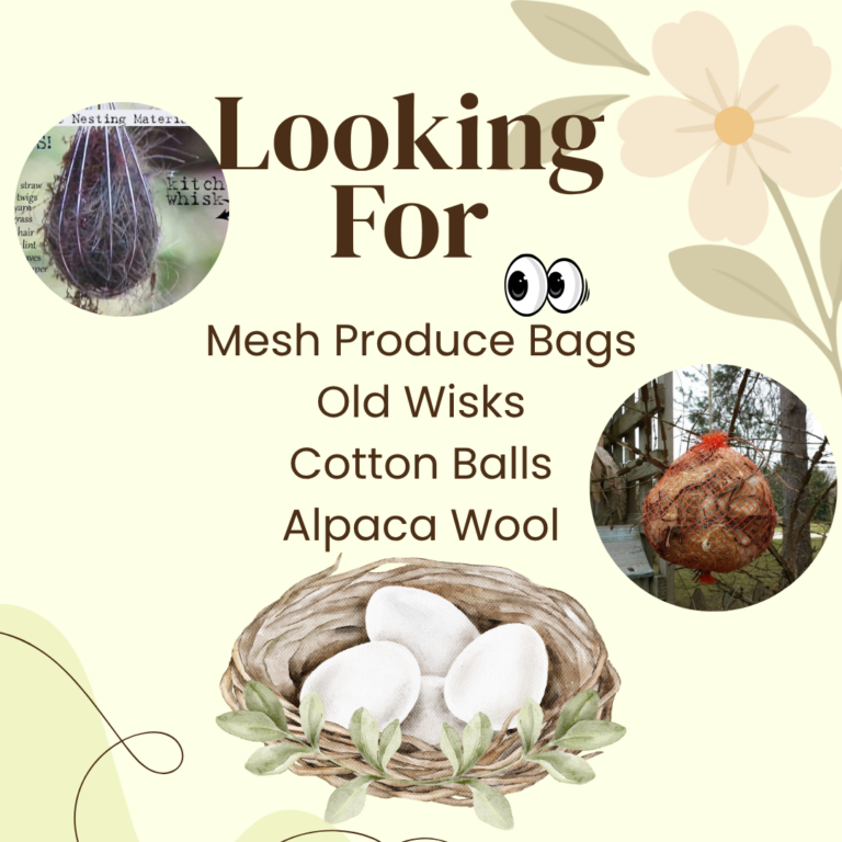 🪺 Help Us Build Bird Nesting Balls! 🐦